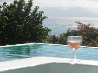 Villa Alizea - Capesterre-de-Marie-Galante - 6