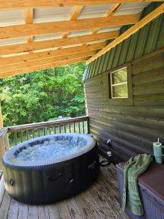Cozy 1-BR Cabin with Kid's Loft & Hot Tub on Buffalo Farm - 2