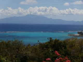 Villa Alizea - Capesterre-de-Marie-Galante - 9