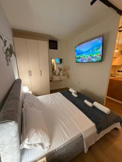 Tirana City Center Apartment - 5