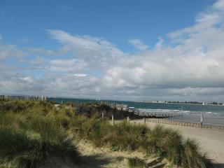 Fabulous Foxglove Five Star Gold Beach and Harbour - 3