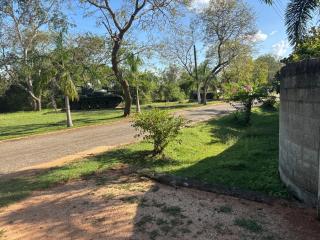 Mulberry stays Anuradhapura - 6