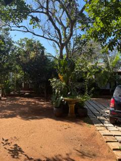 Mulberry stays Anuradhapura - 5