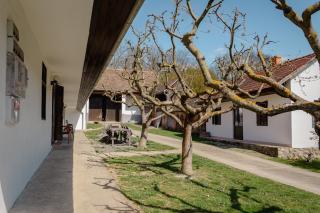 Villány Outback - 7