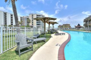 Bay Tree C6 - 7