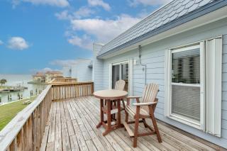 Bay Tree C6 - 5