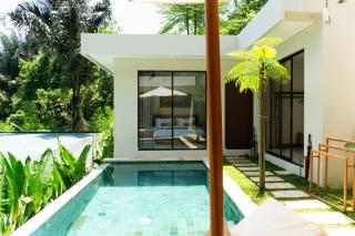 3BR Nava villa Ubud - Ubud - 8