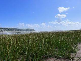 Llansteffan 2-Bed Cottage Sleeps 4 Dog Ok - 8