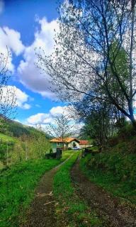 El Rincón De La Naturaleza - 8