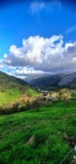 El Rincón De La Naturaleza - 7
