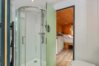 Shepherds Hut with Hot Tub - 5