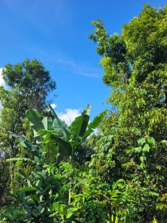 Sinta Family Home - 4
