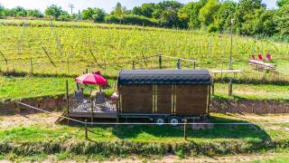 Weinbergsauna - 3
