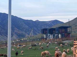 Opensky-kolsay - 9