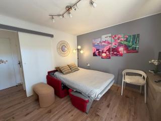 JolieT2 ,RDC,piscine,clim,parking,tennis ,Canet en Roussillon - 5