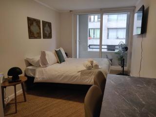 Relax and Enjoy the Best of Stgo Centro - 8