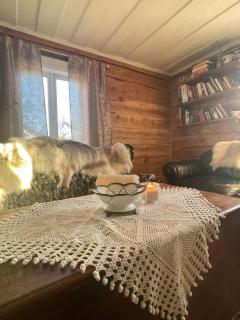 Posti Tiny House with Garden - 8