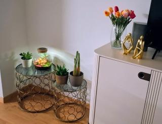Arena Zagreb, 2BDR, Parking - Lux designe - 5