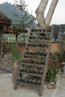 Riverside Haven Homestay - 7