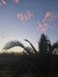 Valinco Locations OLMETO PLAGE - 8