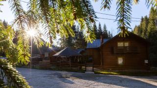 Alpine Chalet - Ski & Lake Belis - 7