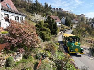 Ferienwohnung Kellerwald - 5