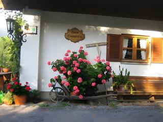 Haus Sunnleitn Vogelsang - 8