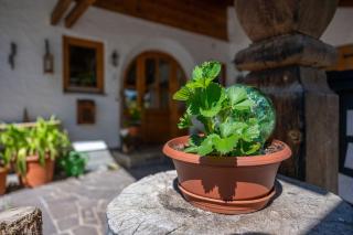 Haus Sunnleitn Vogelsang - 5