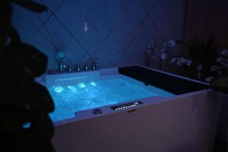 Private Wellness House Toplak Relaxation House - 8