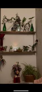 Kiyo's Apartment - 4