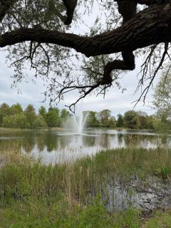 Ferienhaus - 8