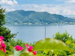 Villa Weiss - Attersee am Attersee - 6