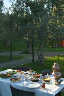 Pasha Tatil Köyü - 7