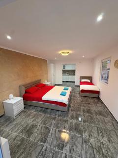 Apartmani Evelin 1 - Veliko Gradište - 6