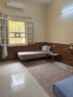 The Way Inn Stay - 5