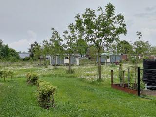 de Eekhoorn - 4