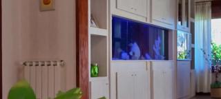 Gran Chalet - 6