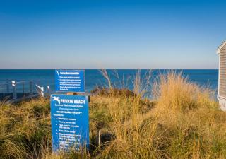Beach Dreams: Ocean Views Room for All - 5