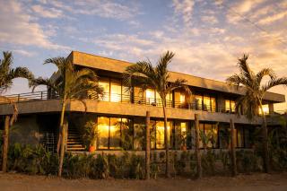 Palomino Sunrise - 9