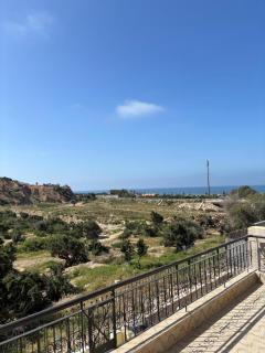 L'Oasis del Maria Fatima - 0