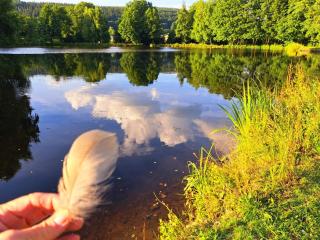 Chalet am Weiher - 9