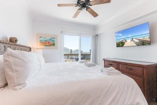 Bay Tree D1516 - 1