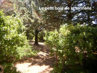 La TONNELLE - 6