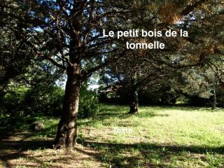 La TONNELLE - 5