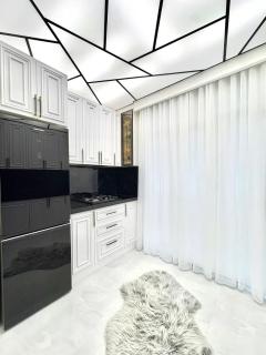 Deluxe home in Baku - 2