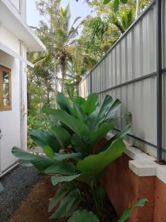 FOREST LIGHT Villas - 2