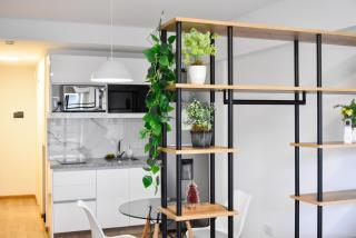 Loft Moderno - Centro Rosario - Zona Pellegrini - 2