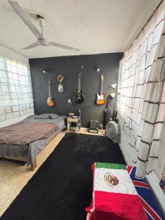 Casa tortuga - 6