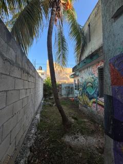 Casa tortuga - 2