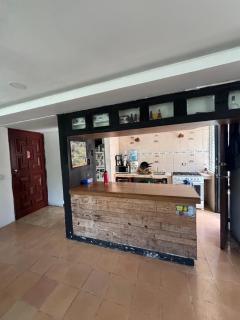 Casa tortuga - 1